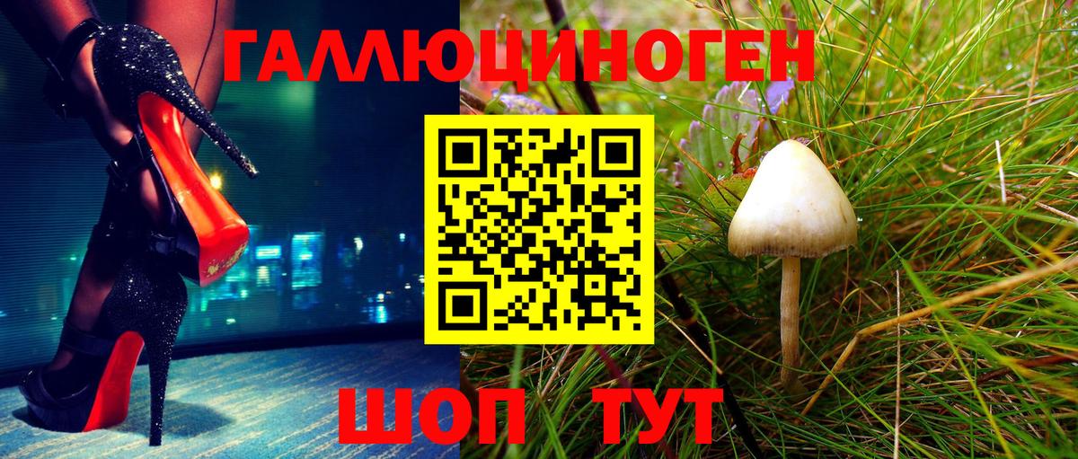 Галлюциногенные грибы Magic Shrooms  Вход с VPN  Галлюциногенные грибы прущие грибы  Кузнецк 
