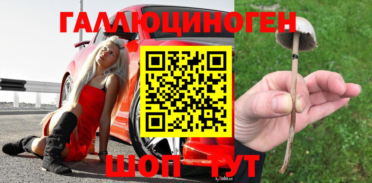 Псилоцибиновые грибы ЛСД Кузнецк
