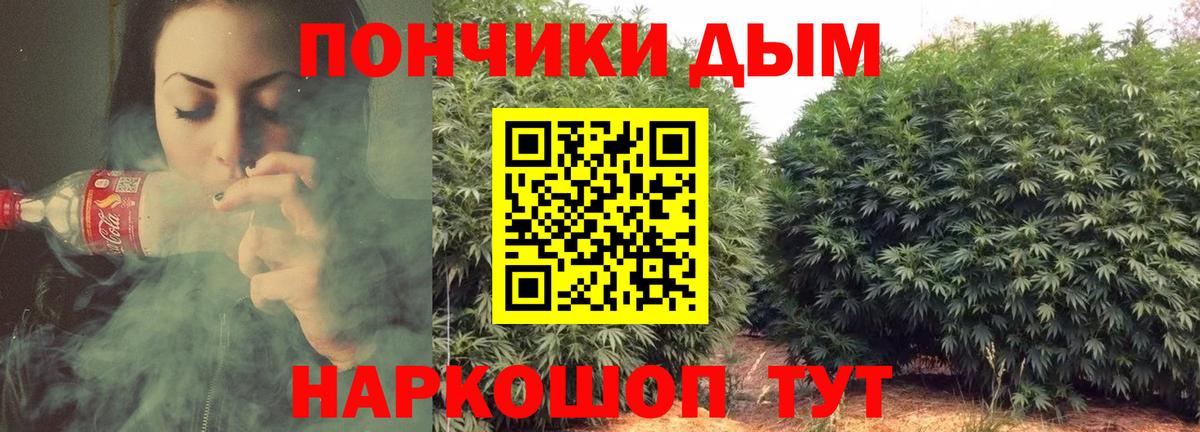 Кузнецк  Марихуана Amnesia  Конопля Bruce Banner  Вход с VPN  Конопля план 